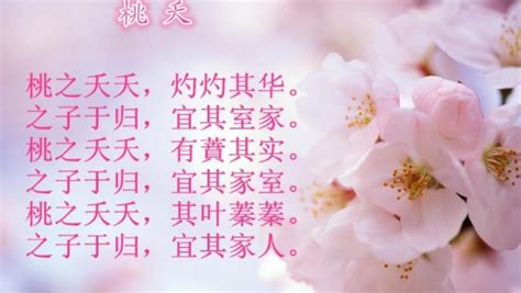 詩經 桃夭|周南·桃夭